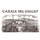 Cantina Casale Del Giglio
